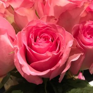 Meet your Posher, Tammy